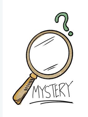 Five 5 mystery rescue high end dresses with a surprise sizes item 0,2,4 Gift